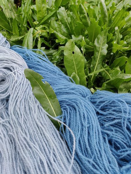 Hovedbilde Vaid A/V/2.3-25