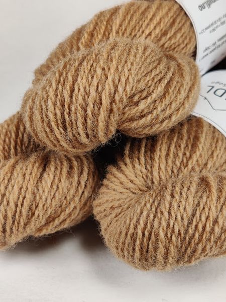 Hovedbilde Valnøtt A/VN1.2-25