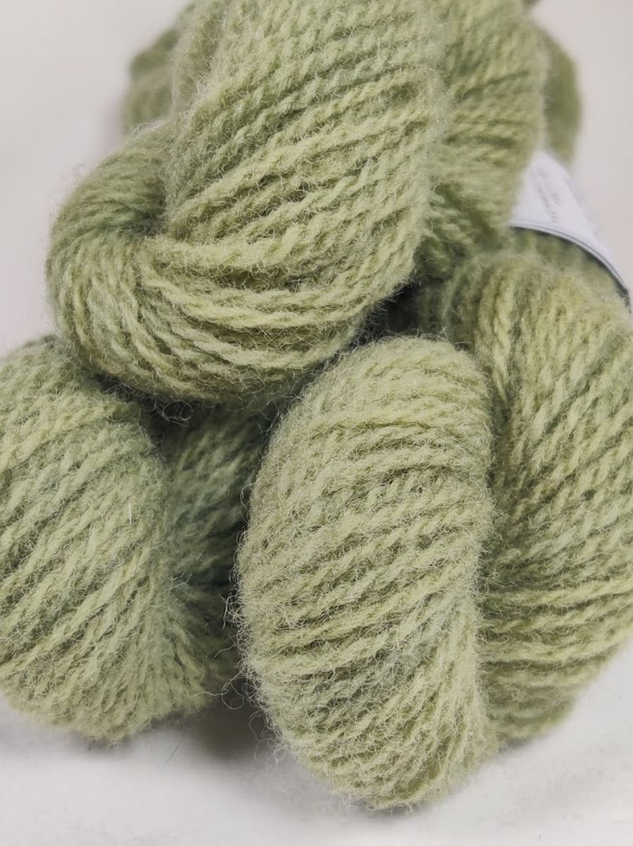 Reinfann og Indigo A/RF3/I1.2-26