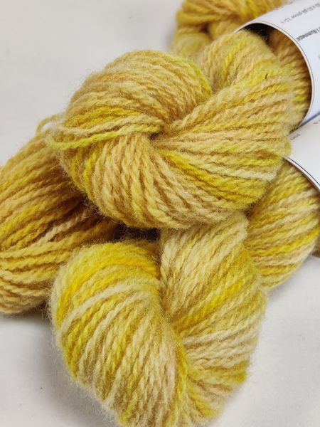 Hovedbilde Prikkperikum A/PP/1-25