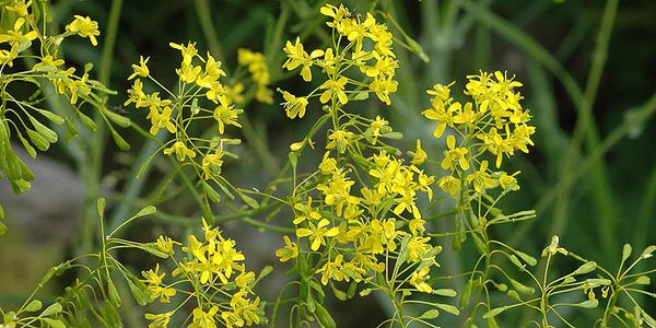 Hovedbilde Vaid A/V/2.2-25